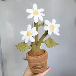 NWT Plushf - Bellium minutum L. plant plush